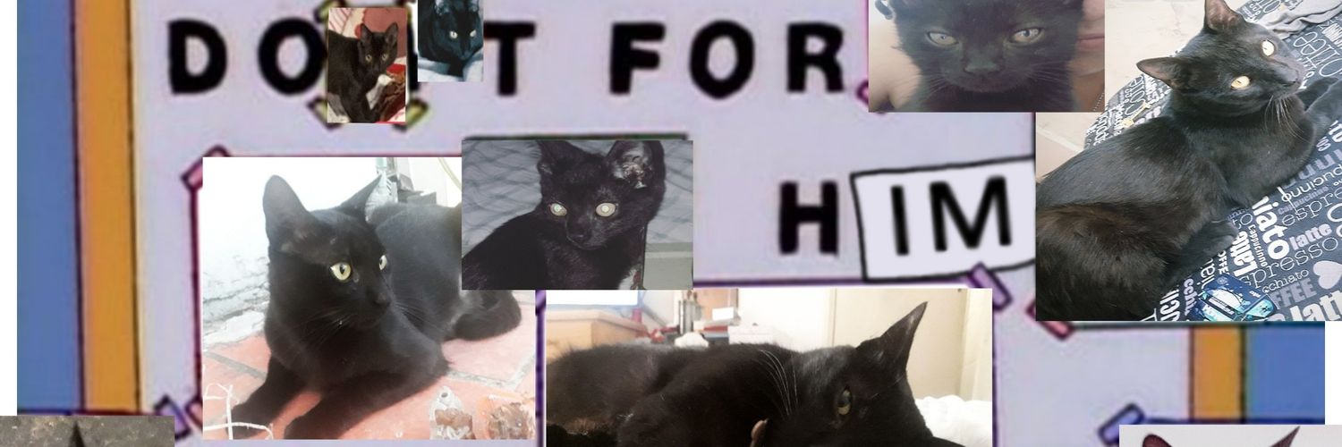 sofiiguerras's profile banner image
