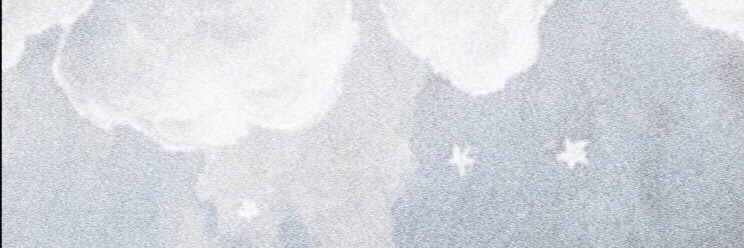skybutstan's profile banner image