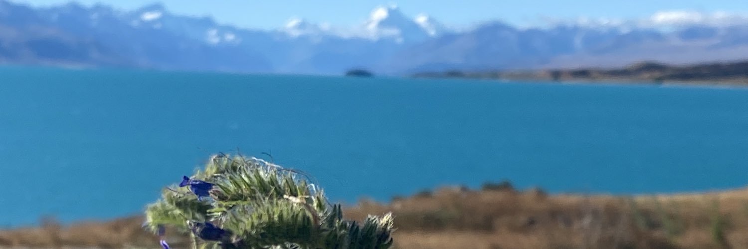 herwinz1's profile banner image