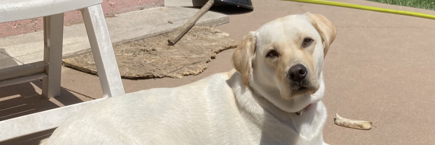 Christine Seketa banner