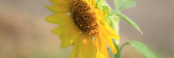 You1130I Profile Banner