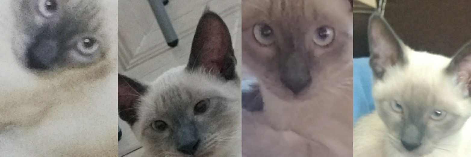 luciamoncada's profile banner image