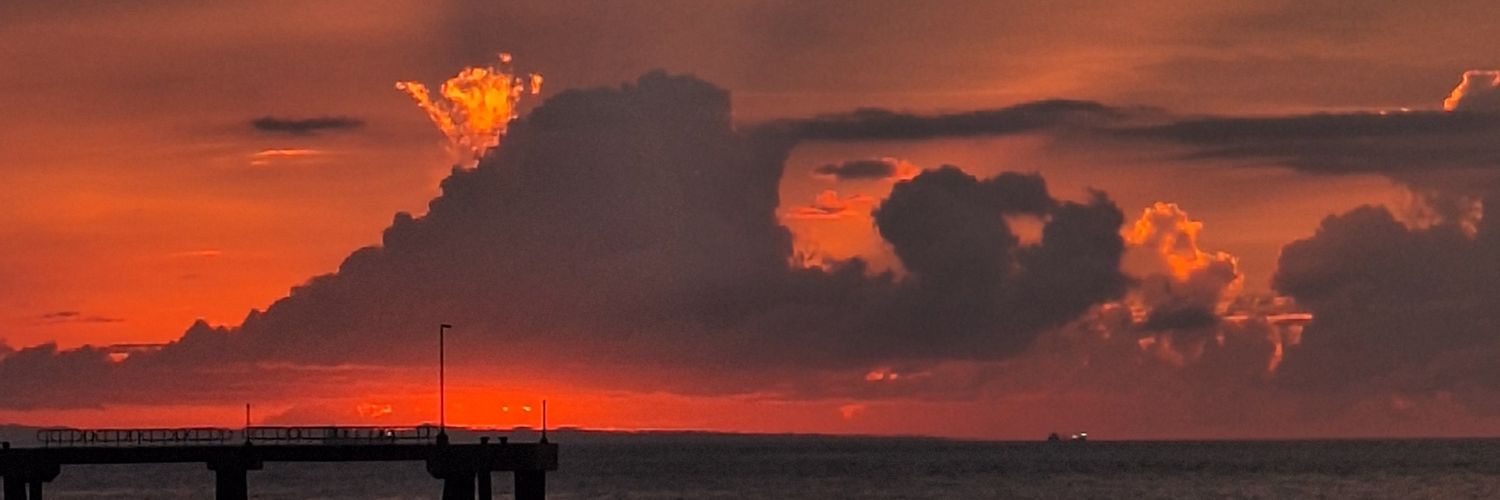 LyRexxxx's profile banner image