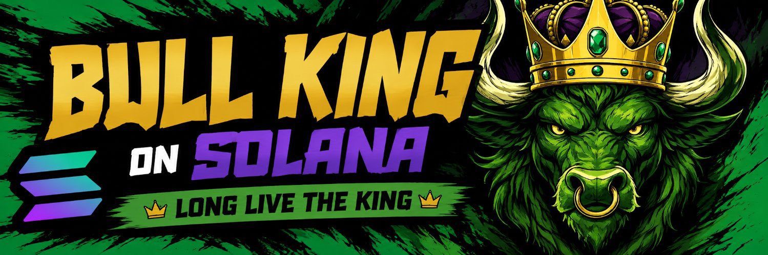 BULLKING_sol's profile banner image