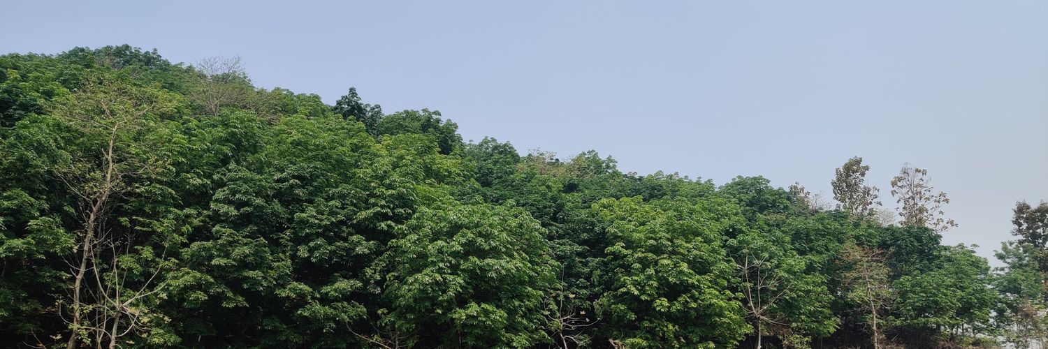 shafiiftikar's profile banner image