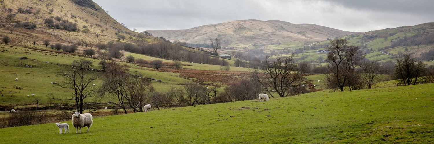 ConwyRural's profile banner image