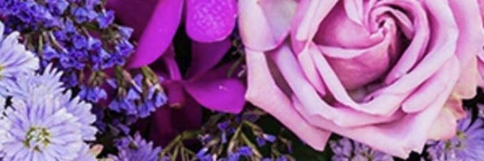 ShayneGeer's profile banner image