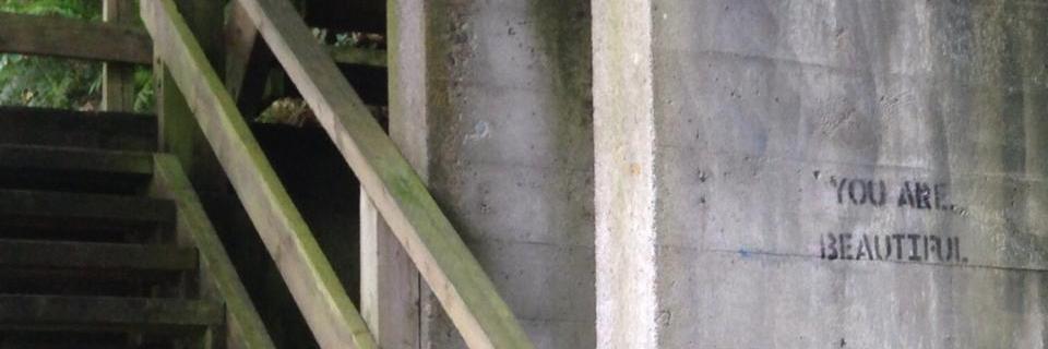 M. David Peterson banner