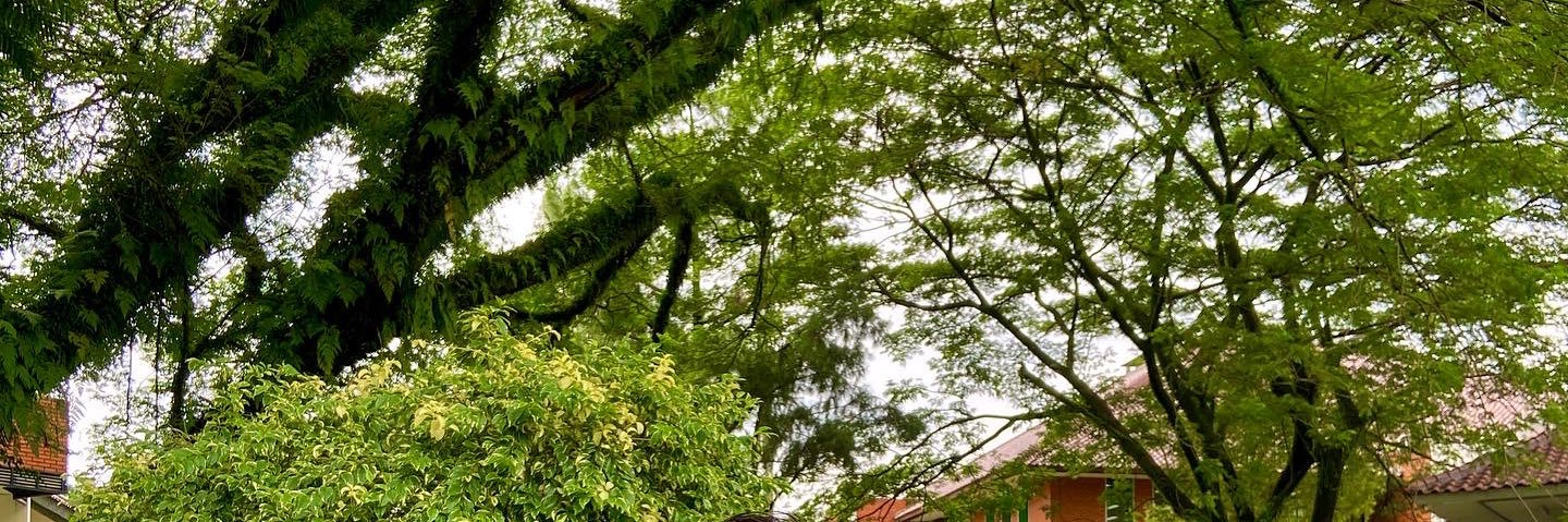 itfanoemar's profile banner image