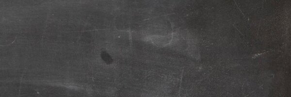 CIESNewScholars Profile Banner
