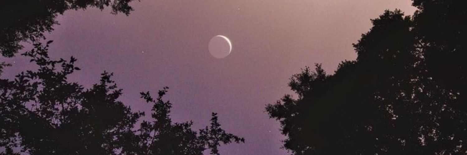 Cathheeeeey's profile banner image
