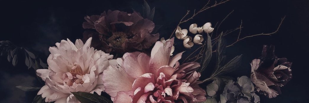 MadamMonstrous's profile banner image