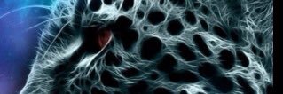 wwwneo2004's profile banner image