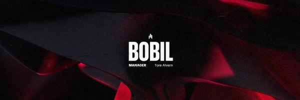 bobiltore Profile Banner