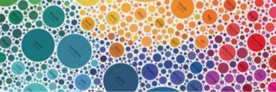 The Datawright banner