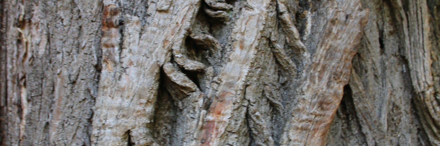 Adam Treeshepherd Rutsch's banner