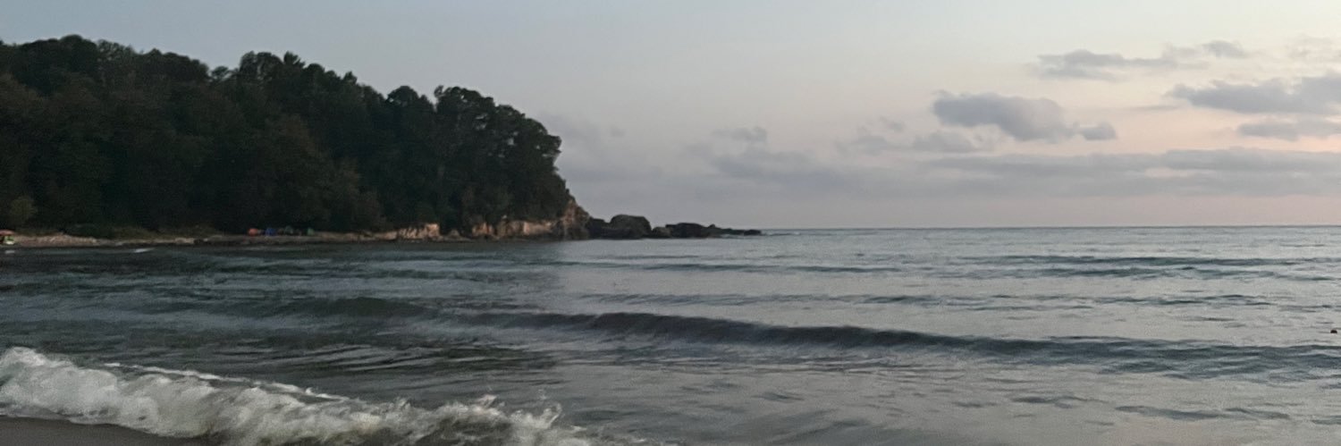 nisasakinoldost's profile banner image