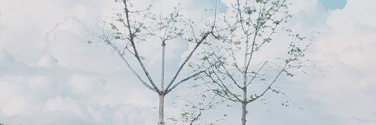 SNPMANOK's profile banner image