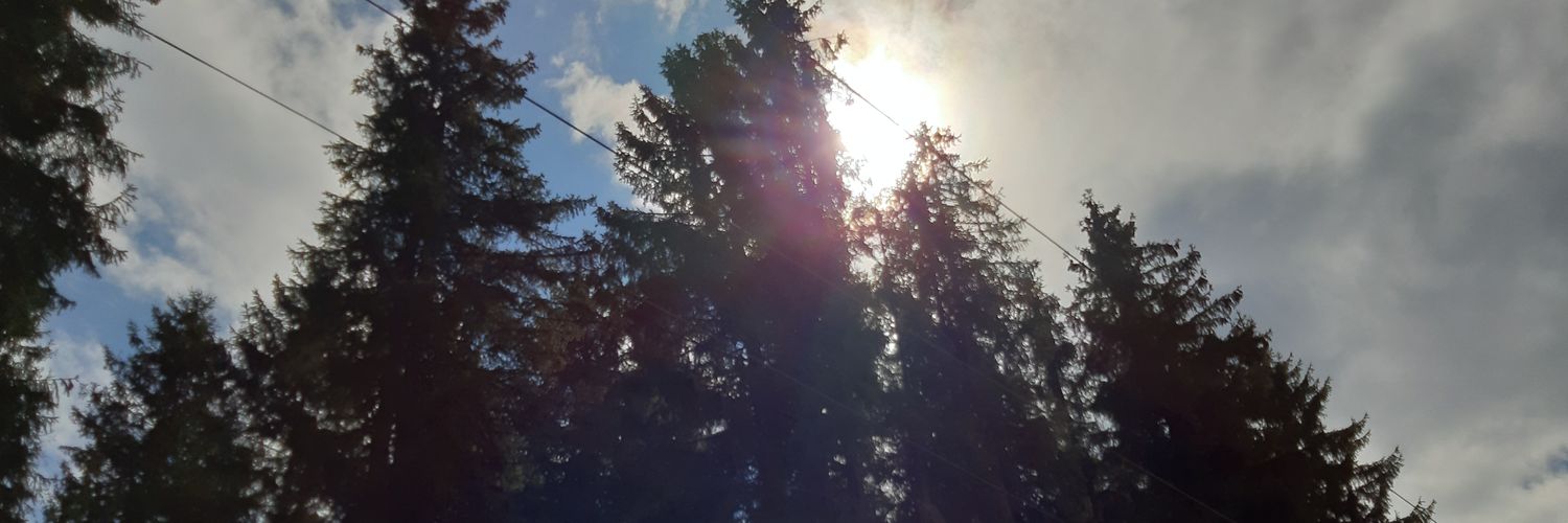 GoldKristall's profile banner image
