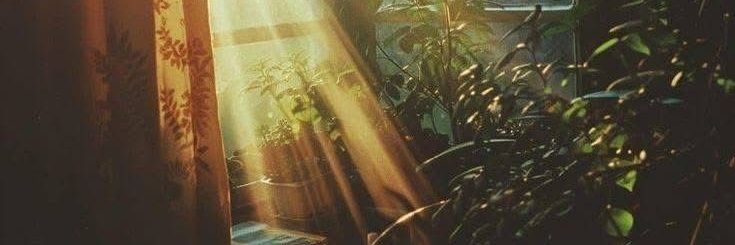 Tony Musk 🪬 banner