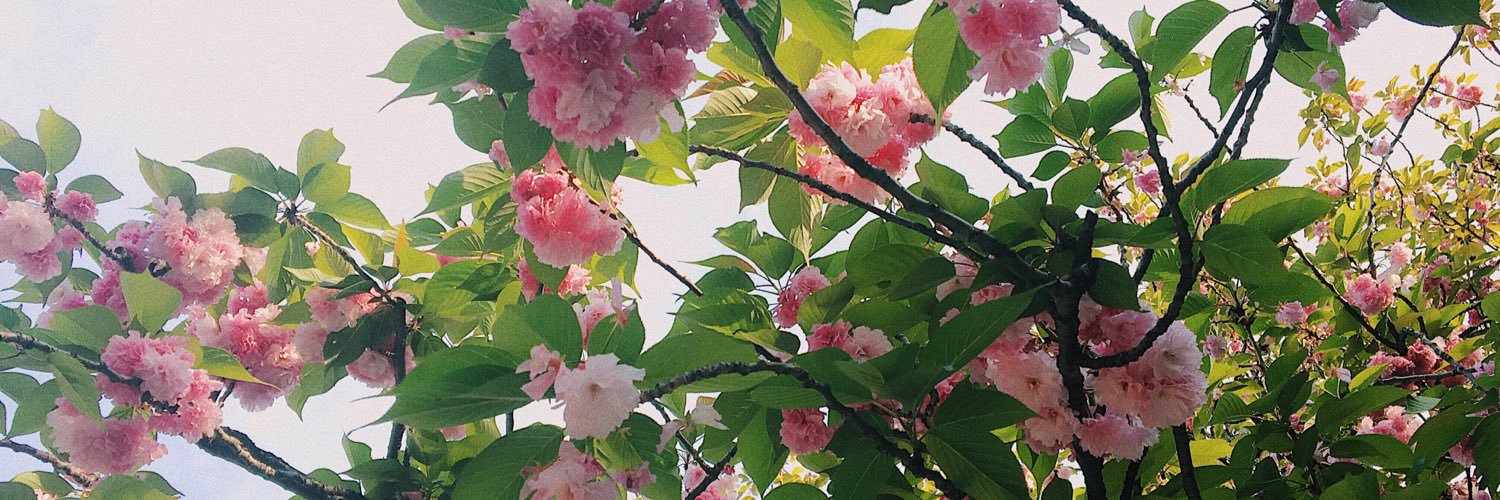 nmkf_rxx's profile banner image