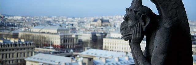 조미정 MJ Cho banner