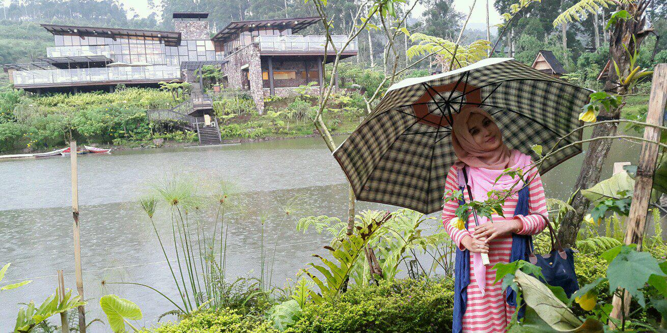 vi_devita's profile banner image