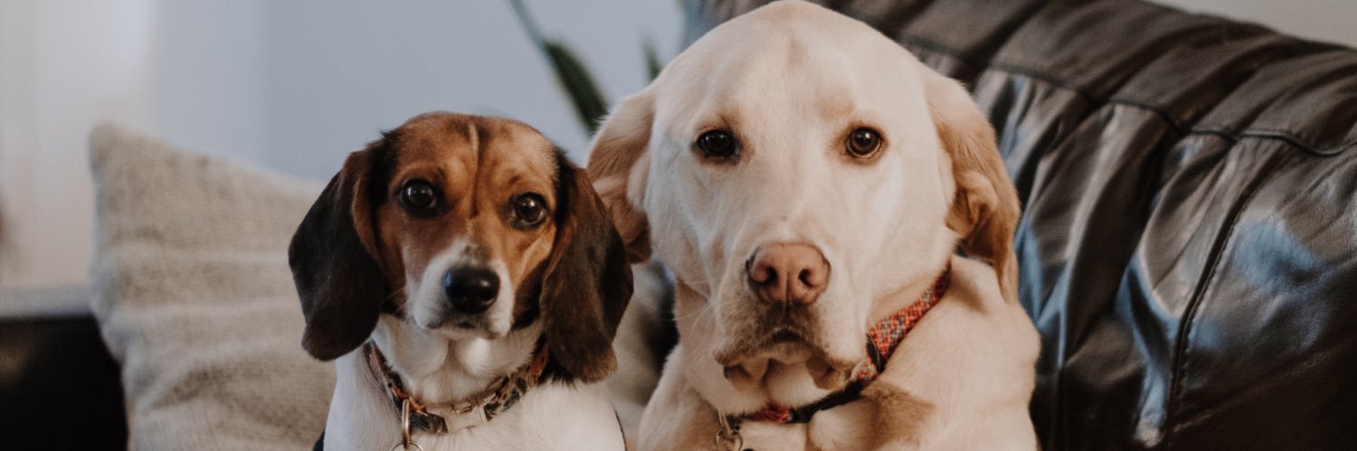 JessCLeigh's profile banner image