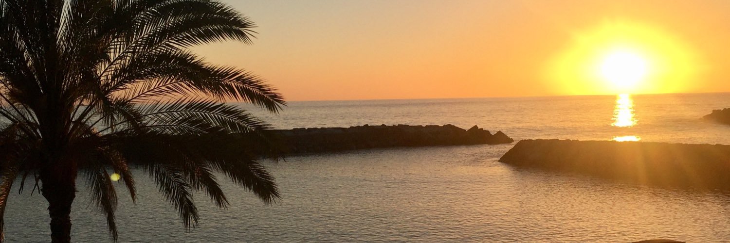 Roseyish's profile banner image