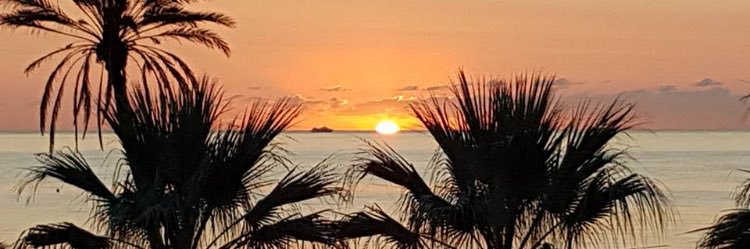 Mischa Dallimore banner