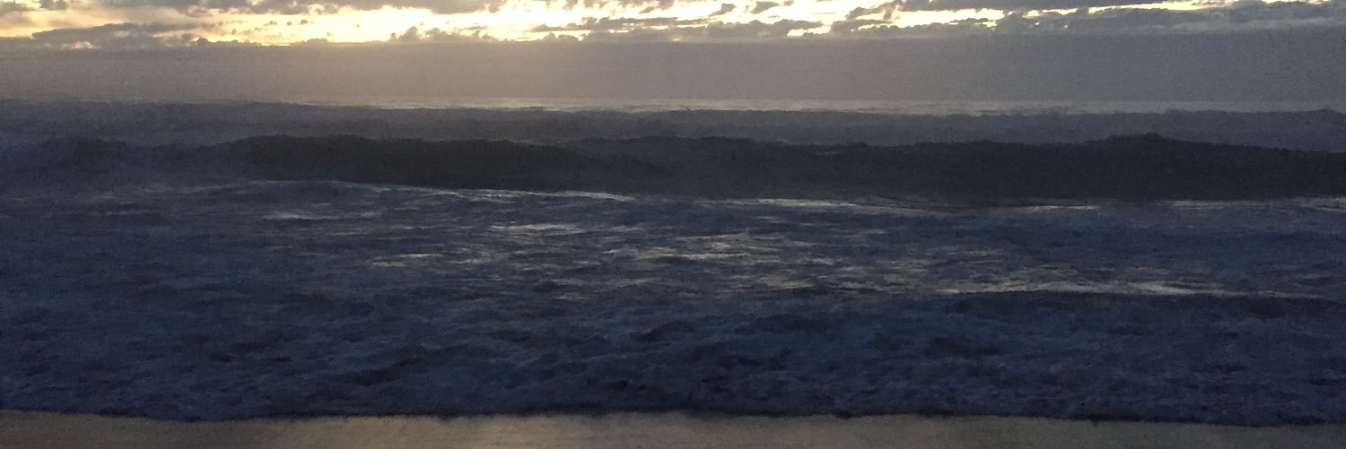 sampees's profile banner image