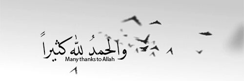 aliyahussen's profile banner image