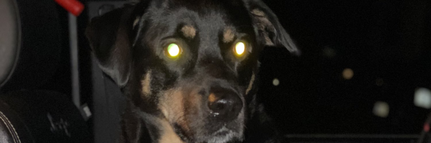 DanFit4Life's profile banner image