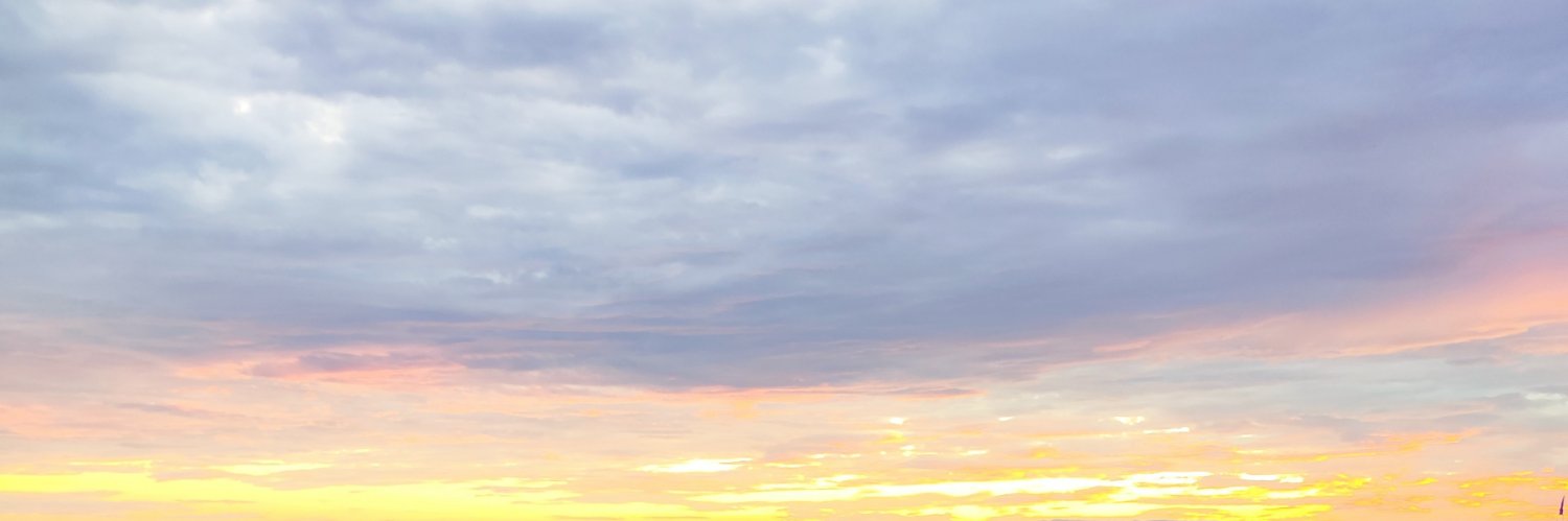 shamaysham's profile banner image