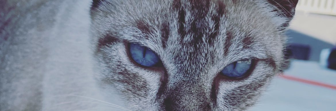 H4NTWO's profile banner image