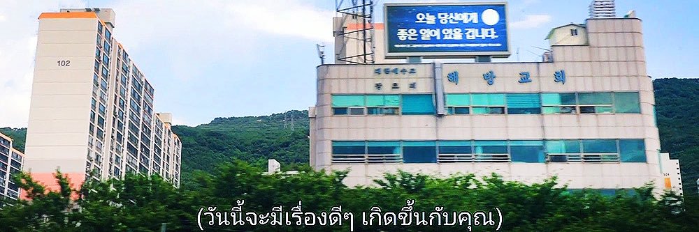 frog this life banner