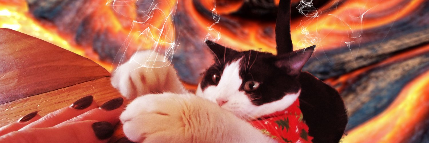 TMayerKY's profile banner image