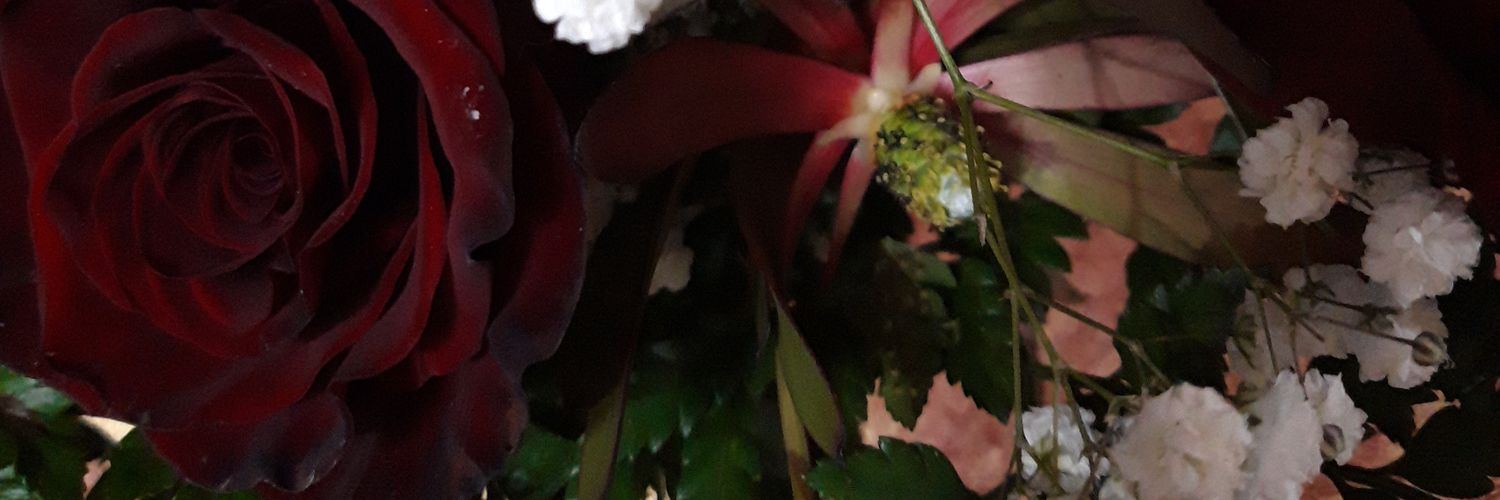 gemadbarral's profile banner image