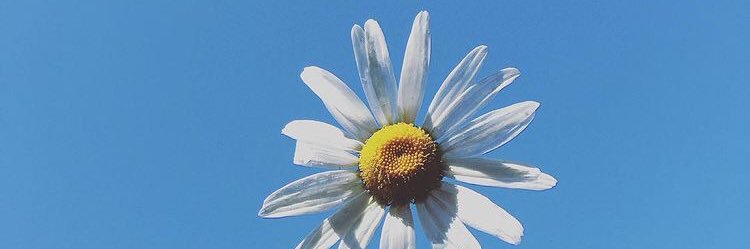 missfangg's profile banner image