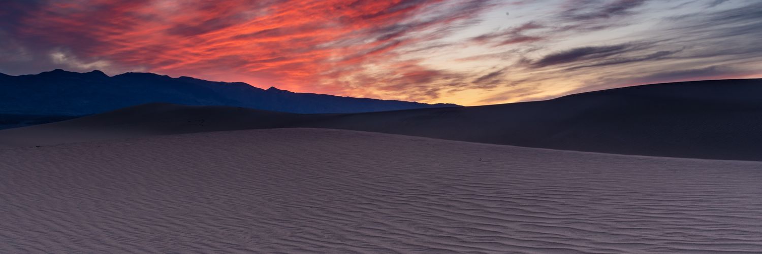 TylerInTransit_'s profile banner image