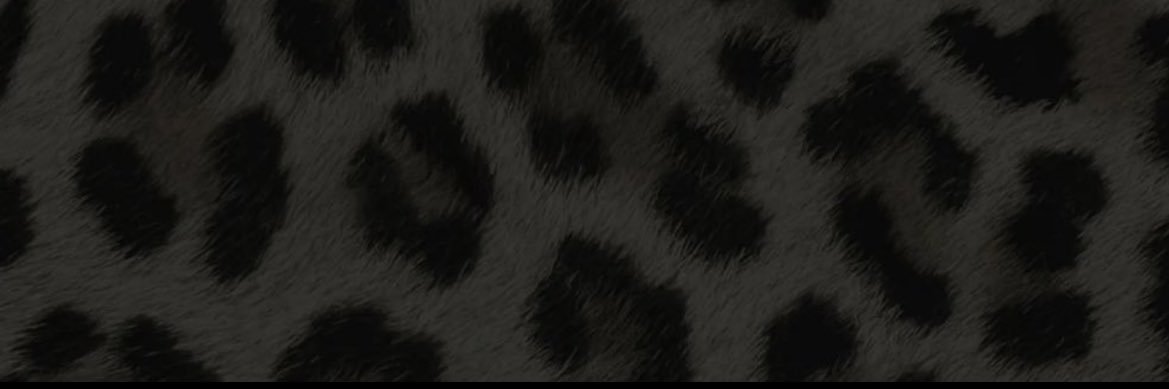 dashofdej_'s profile banner image