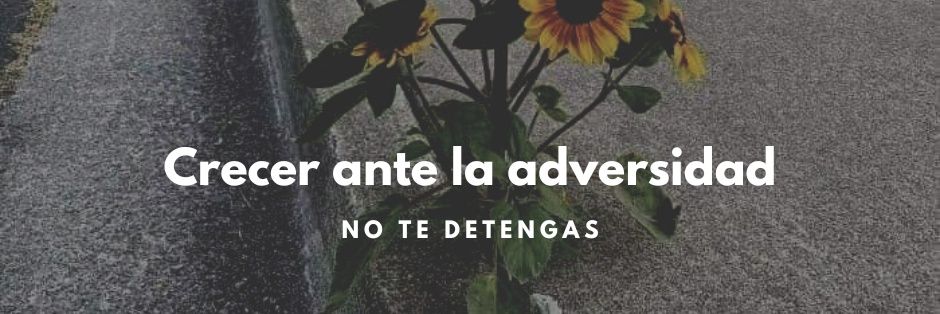 GiocoSanabria's profile banner image