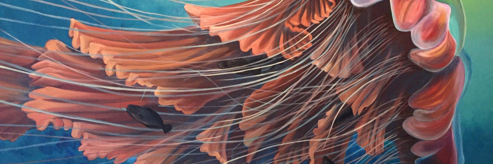 dekkerink's profile banner image