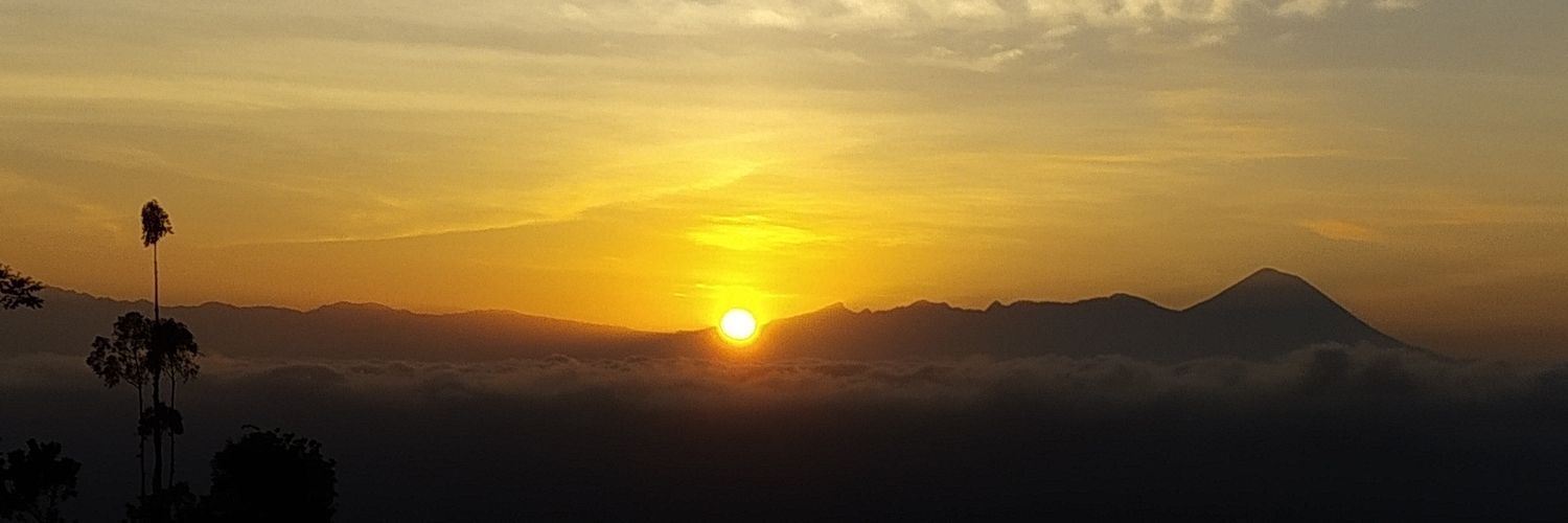 Firdaus Ario Putra banner