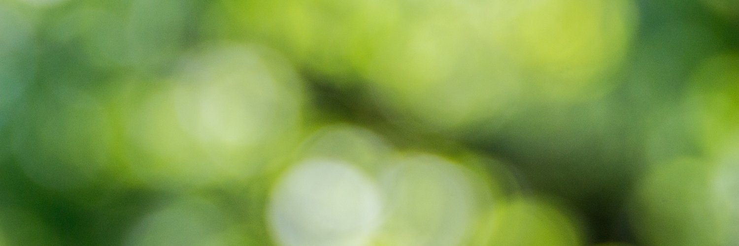 Karla Schönicke | she/her banner