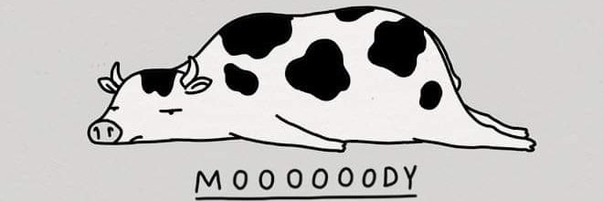 bridget_brak's profile banner image
