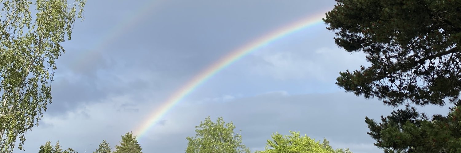 Askyerocket's profile banner image