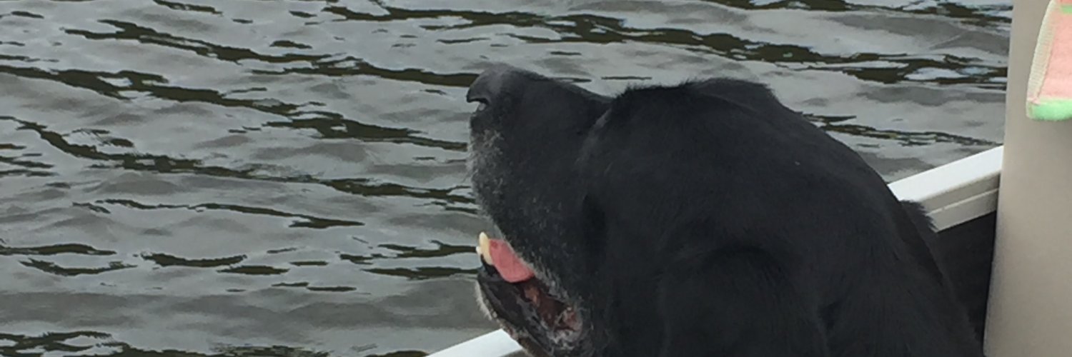 ScienceGalDeb banner