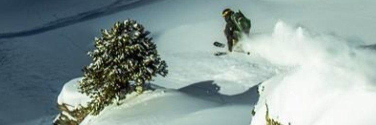 Willtucker11's profile banner image