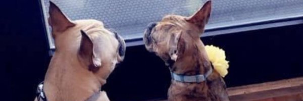 jesswill02 Profile Banner